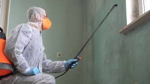 Best Industrial Mold Remediation  in Mineral Springs, NC